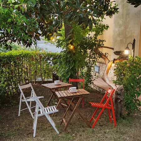 Domus Olea Eco Bio House Igloo 3*