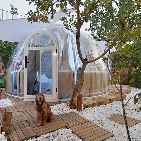 Domus Olea Eco Bio House Igloo Bed & Breakfast 3*