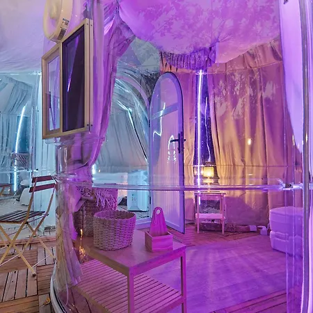 Domus Olea Eco Bio House Igloo Oliveto Citra