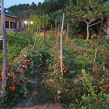 Oda ve Kahvaltı Domus Olea Eco Bio House Igloo