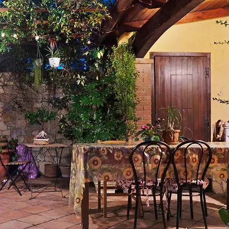 Domus Olea Eco Bio House Igloo 3* Oliveto Citra